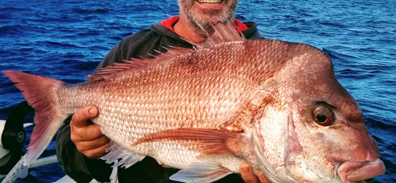 snapper fishing charters featured